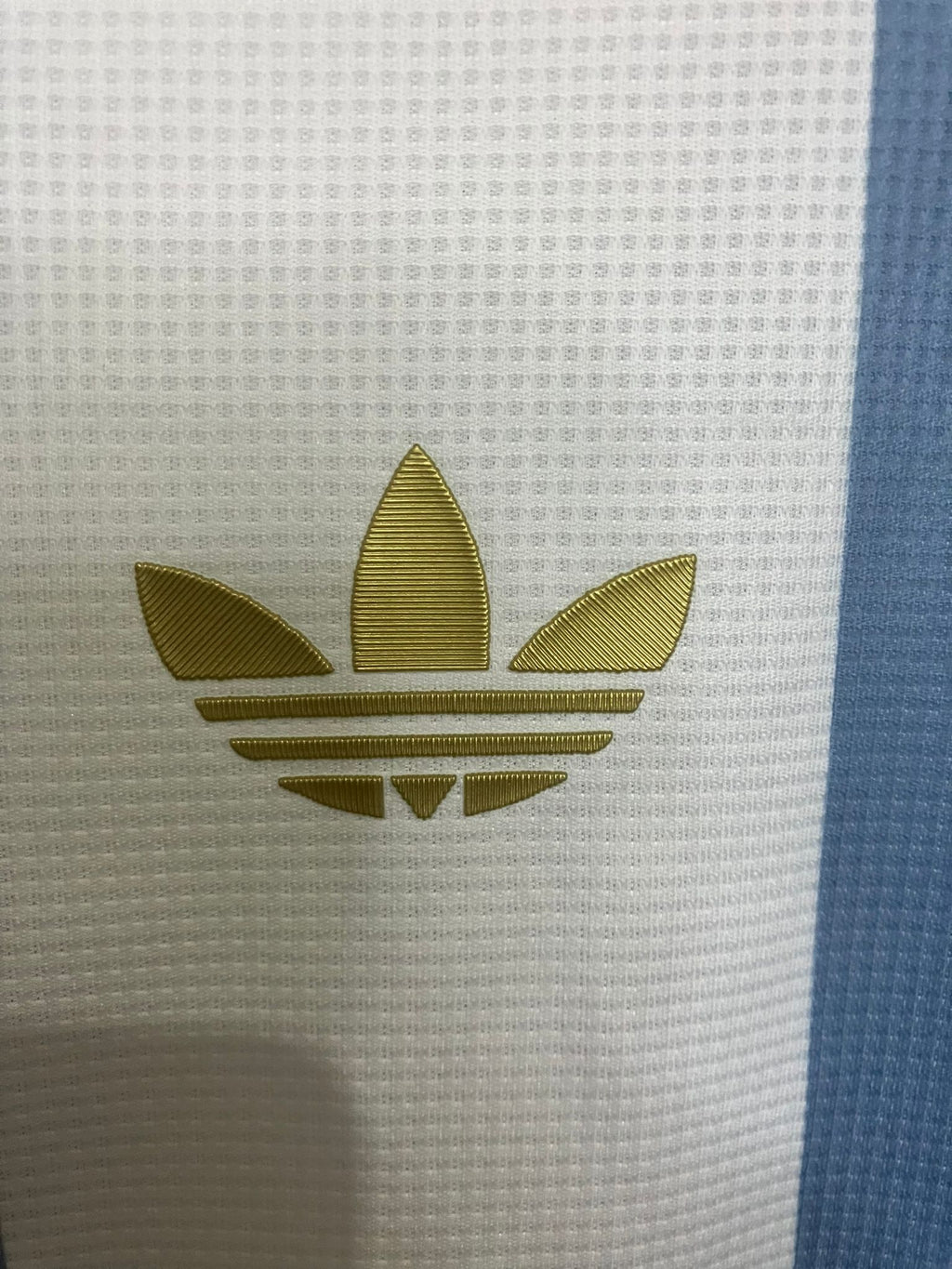 ⭐⭐⭐ Edición de Leyenda – Argentina 2025 Aniversario - Lionel Messi