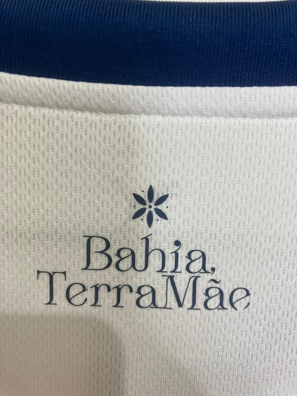 💎 El Talento de la Cuchilla en Brasil – EC Bahia 2025 - Luciano Rodríguez