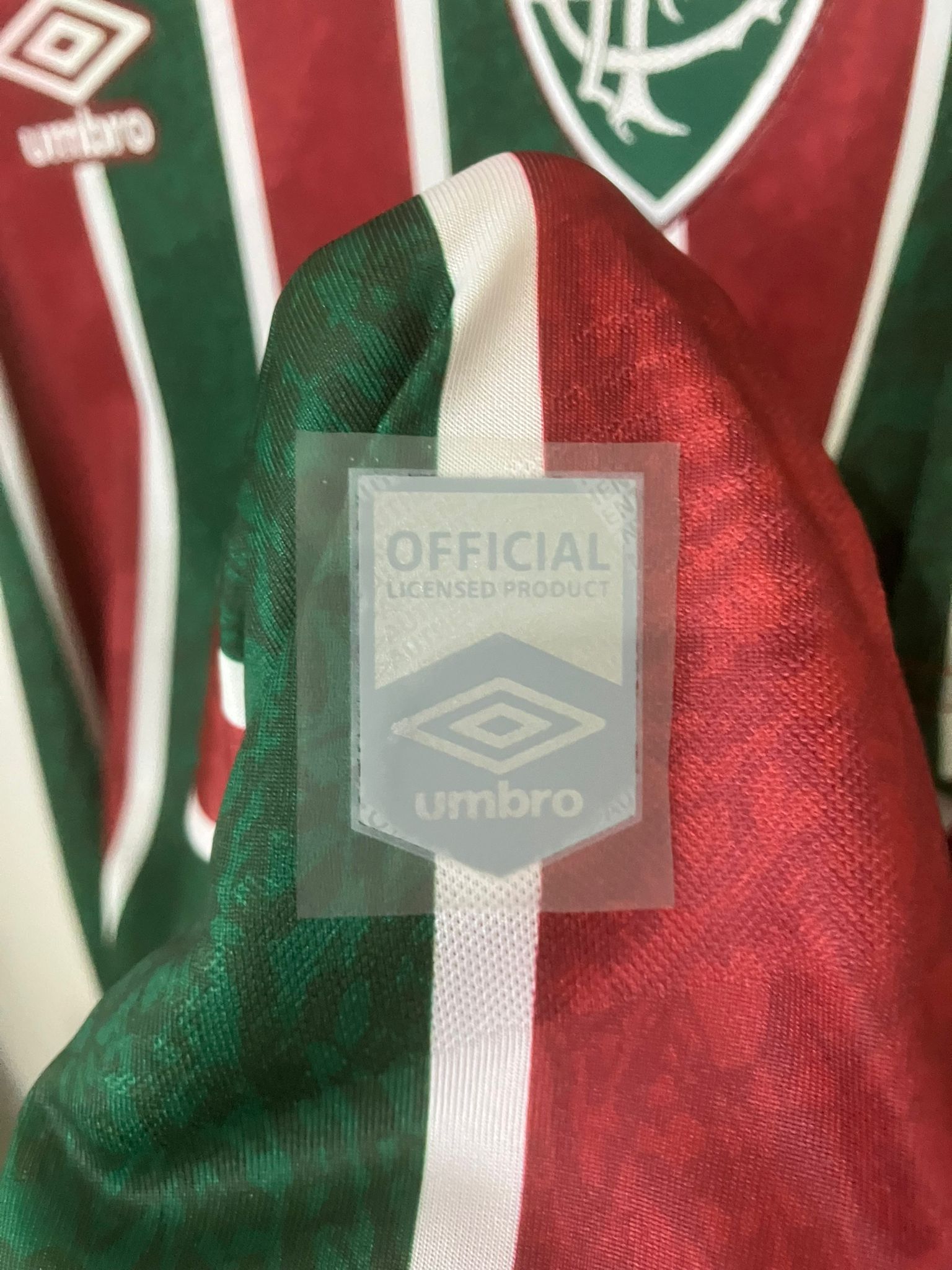 🟢🔴 La Piel del Campeón de América – Fluminense 2024