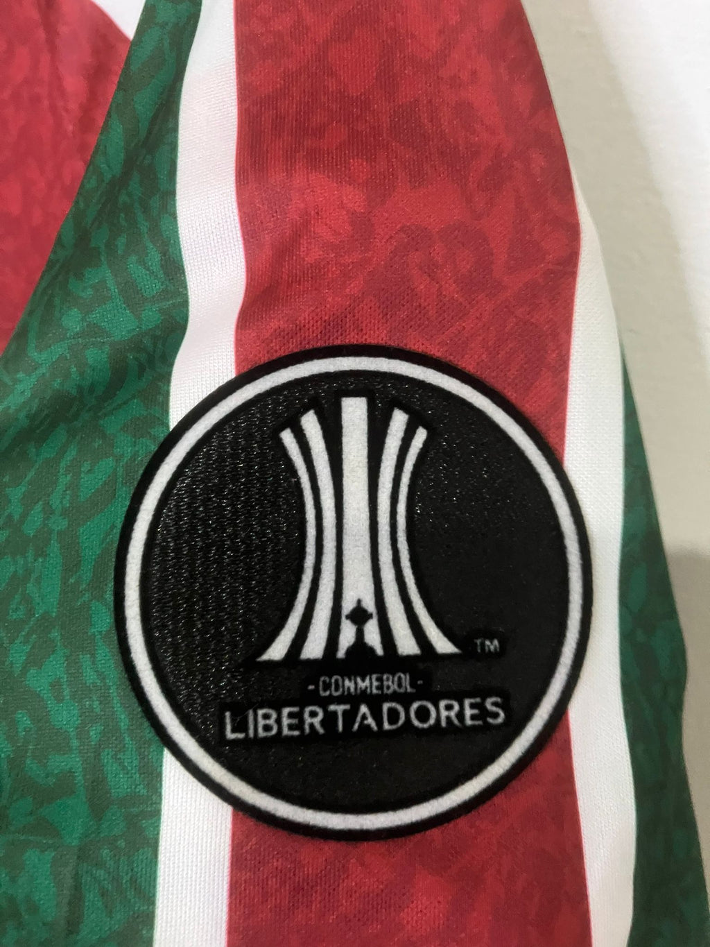 🟢🔴 La Piel del Campeón de América – Fluminense 2024