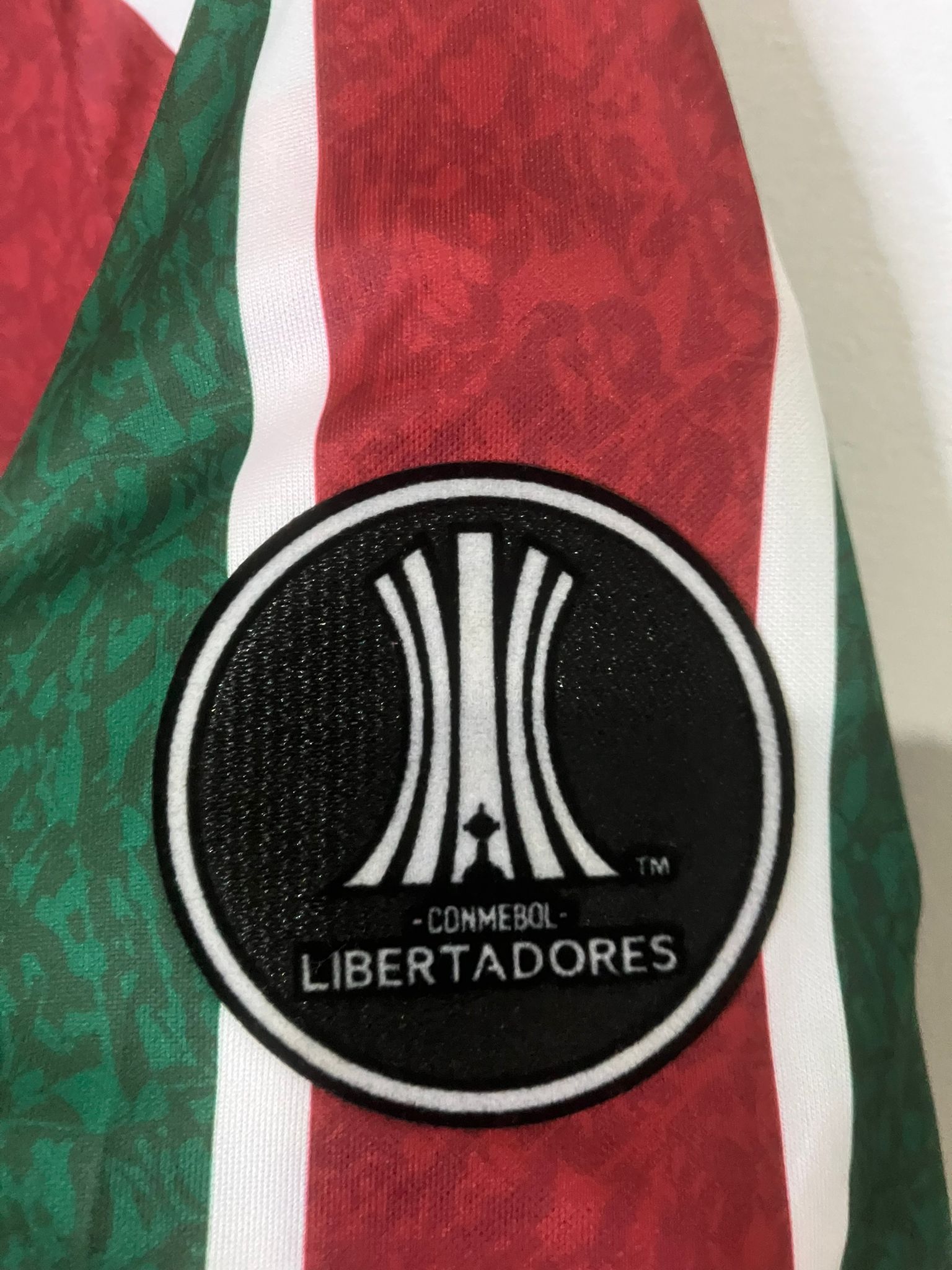 🟢🔴 La Piel del Campeón de América – Fluminense 2024