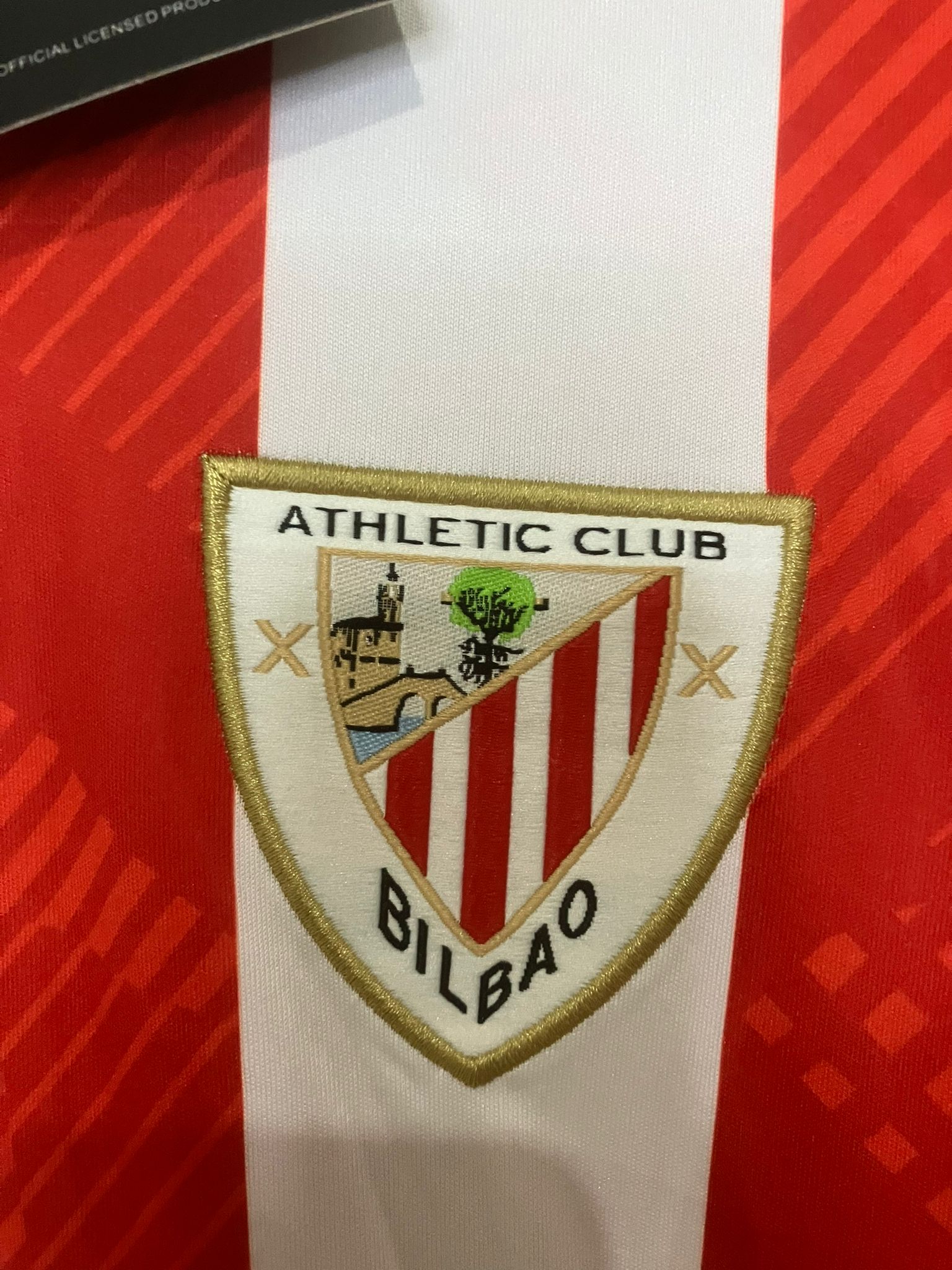 🦁 El Rayo de San Mamés – Athletic Club 2024/25 - Nico Williams