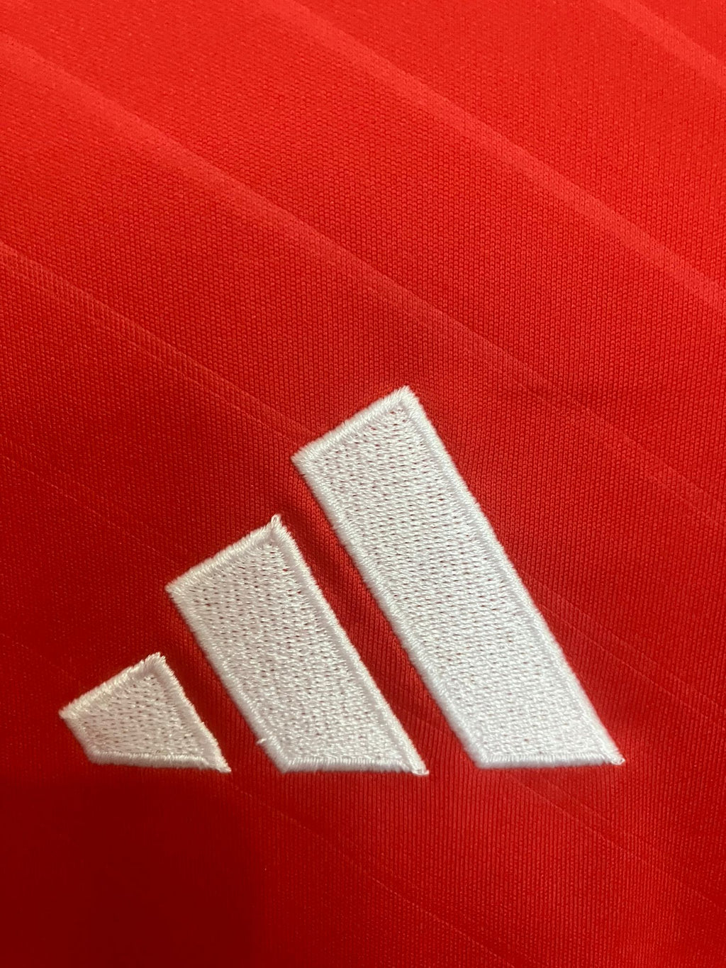 🍝 El Último Baile del Ángel – SL Benfica 2024/25 - Ángel Di María