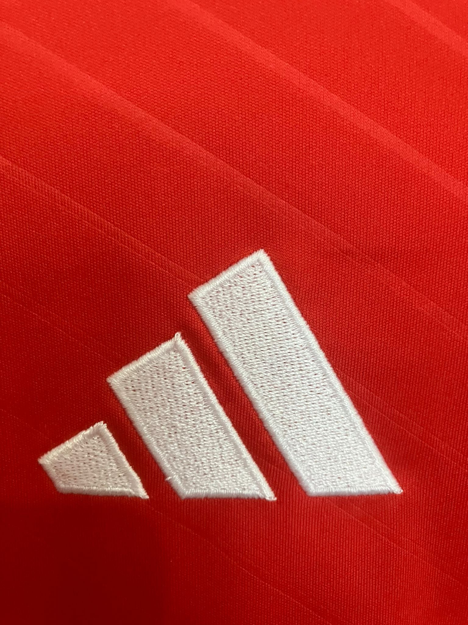 🍝 El Último Baile del Ángel – SL Benfica 2024/25 - Ángel Di María