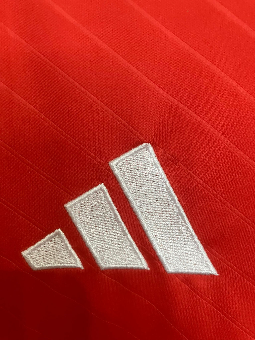 🦅 El Vuelo de la Gloria – SL Benfica 2024/25