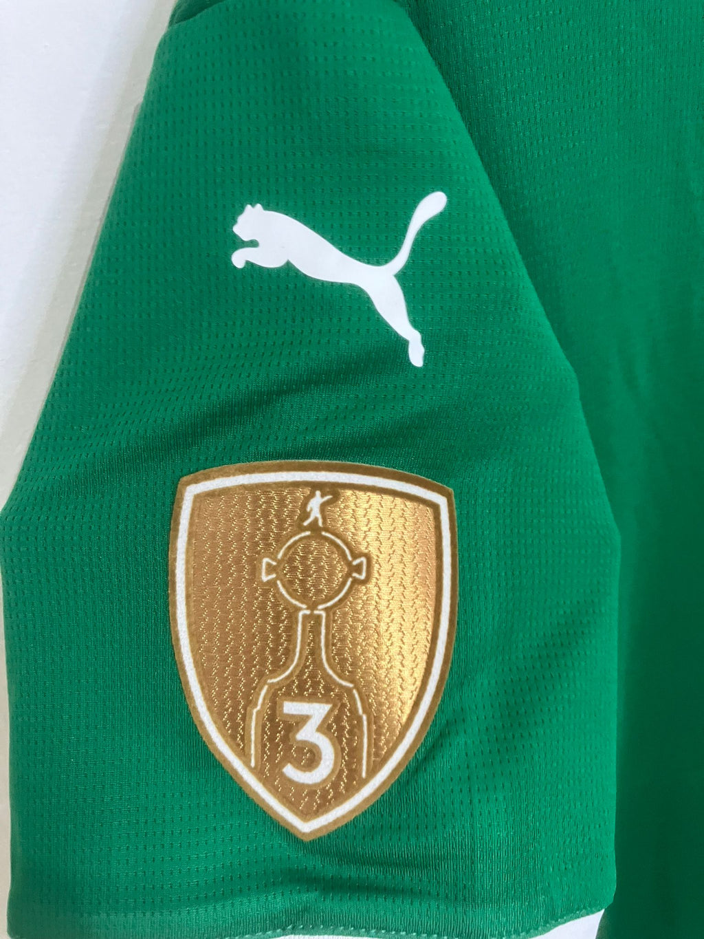 🟢 El Dominio del Verdão – Palmeiras 2025