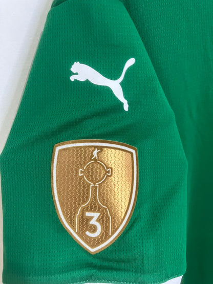 🟢 El Dominio del Verdão – Palmeiras 2025