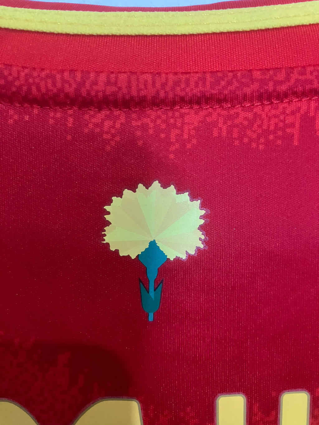 💎 El Surgimiento de un Genio – España 2024 - Lamine Yamal