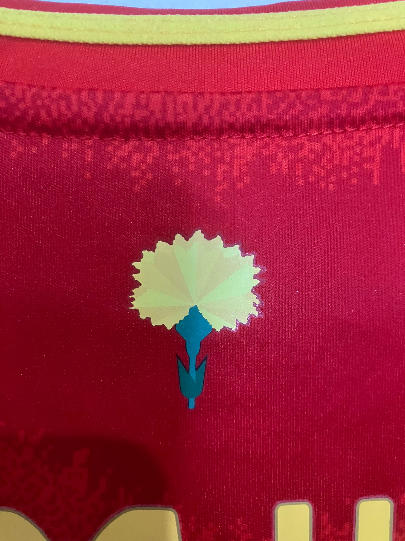 💎 El Surgimiento de un Genio – España 2024 - Lamine Yamal