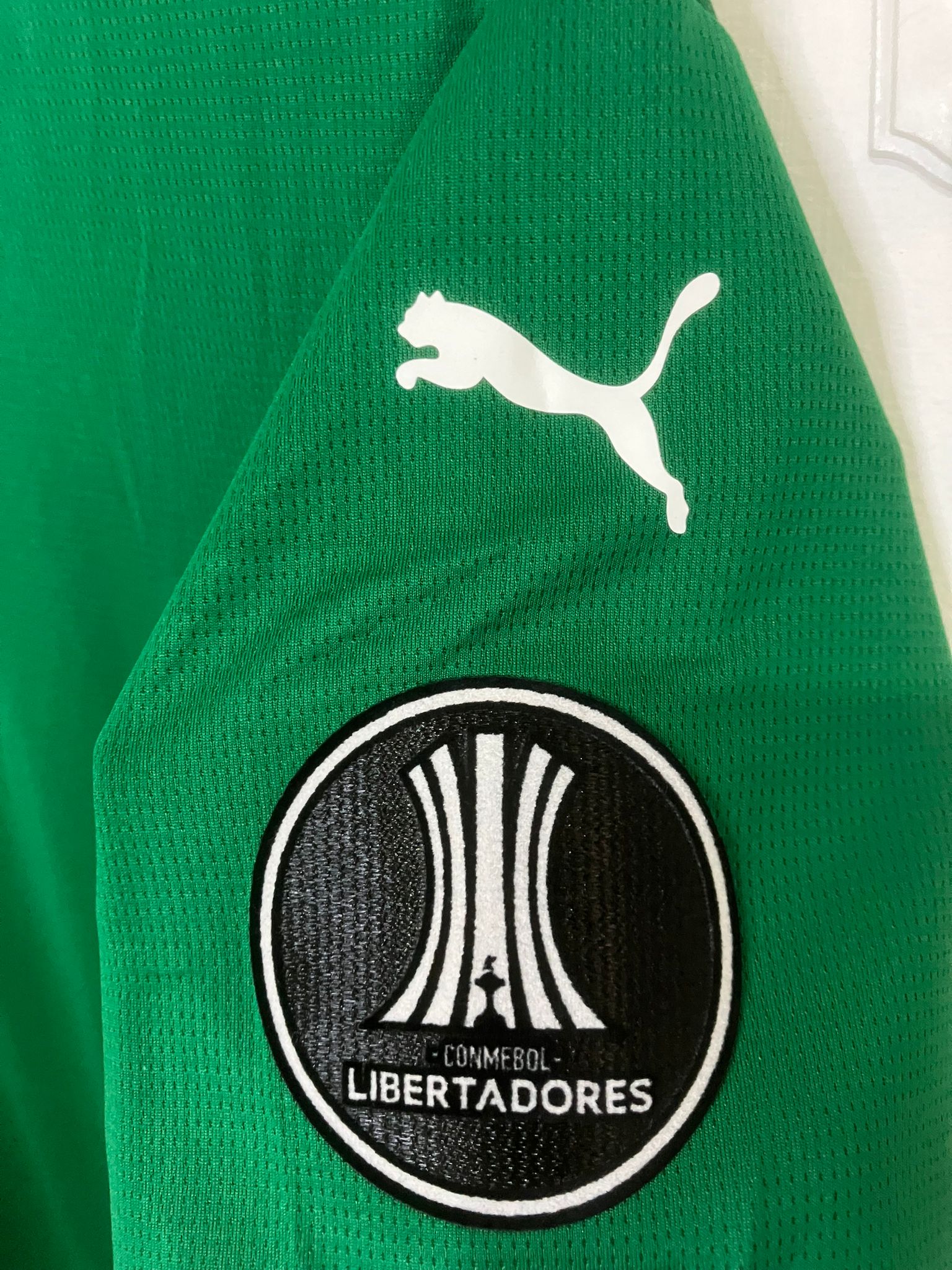 🟢 El Dominio del Verdão – Palmeiras 2025