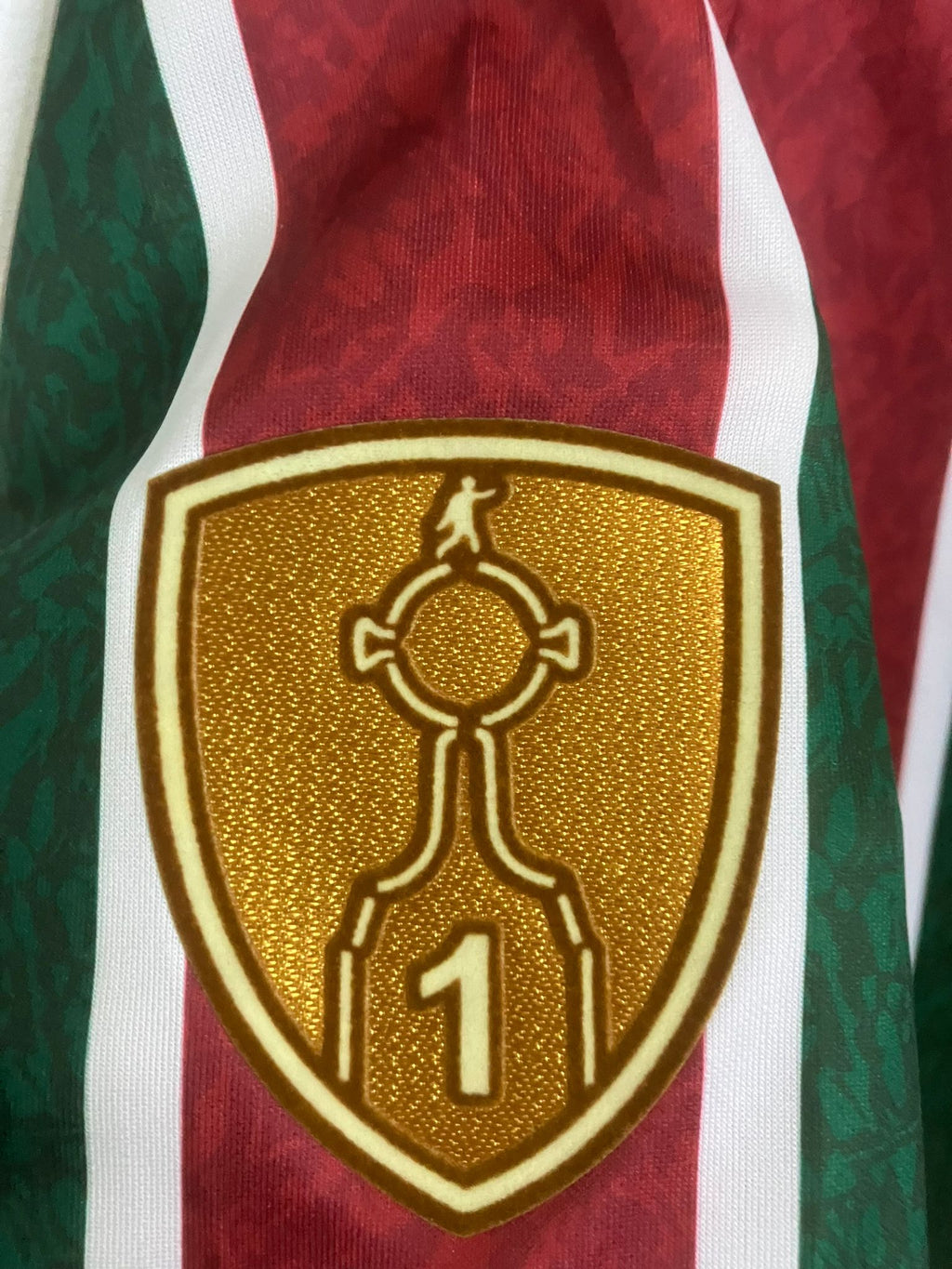 🟢🔴 La Piel del Campeón de América – Fluminense 2024