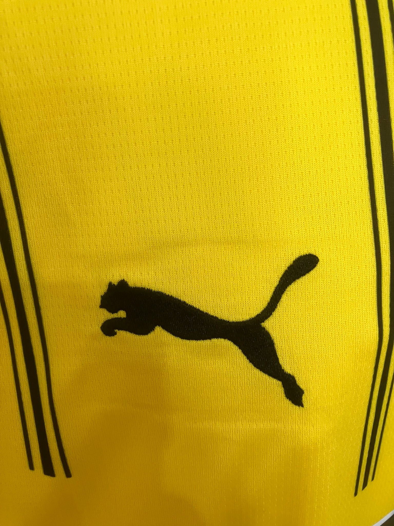 🧱 El Muro Amarillo en tu Piel – Borussia Dortmund 2024/25