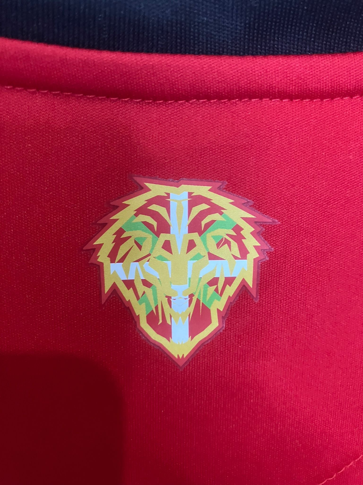 🦁 El Rayo de San Mamés – Athletic Club 2024/25 - Nico Williams