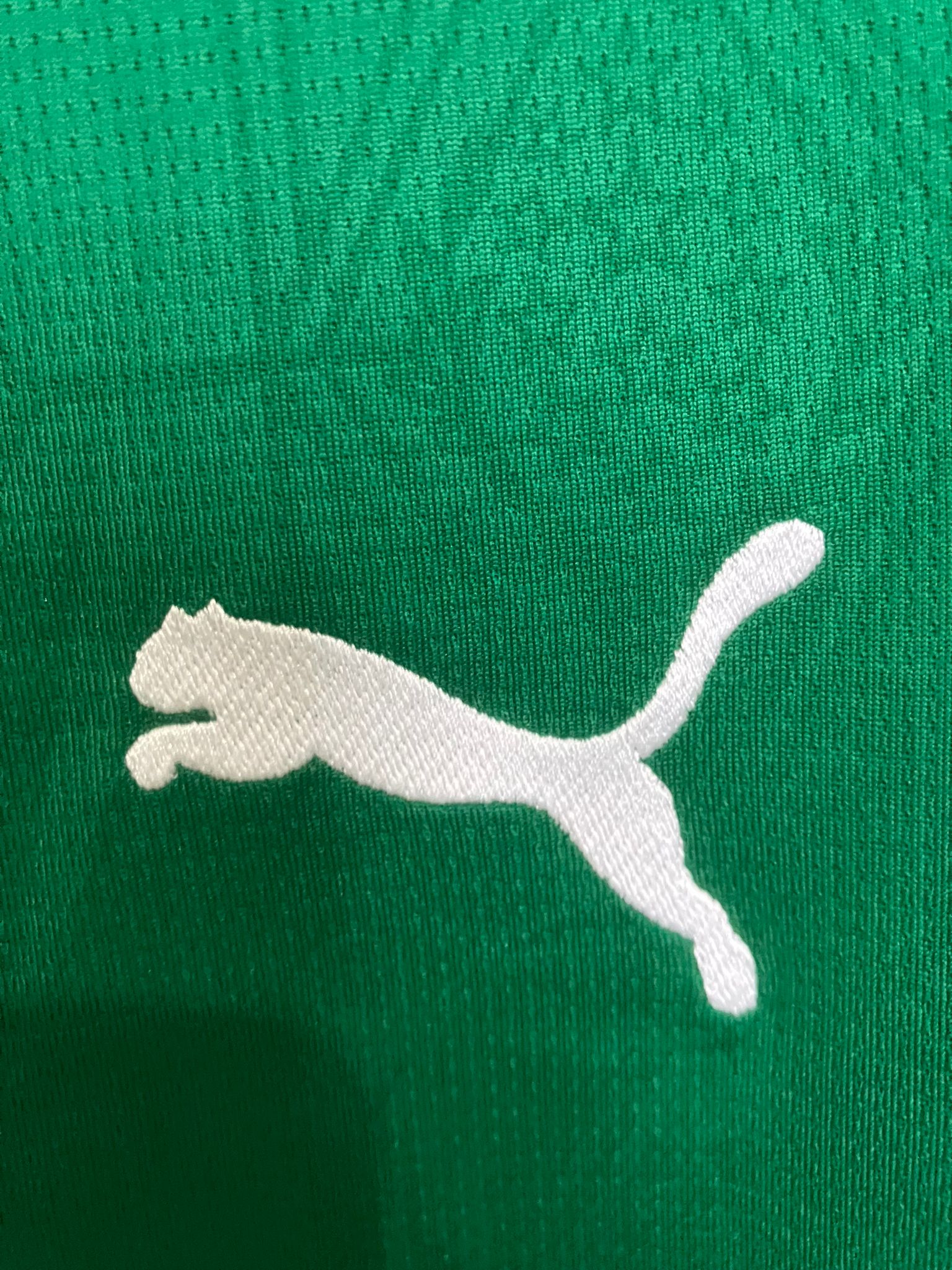 🟢 El Dominio del Verdão – Palmeiras 2025