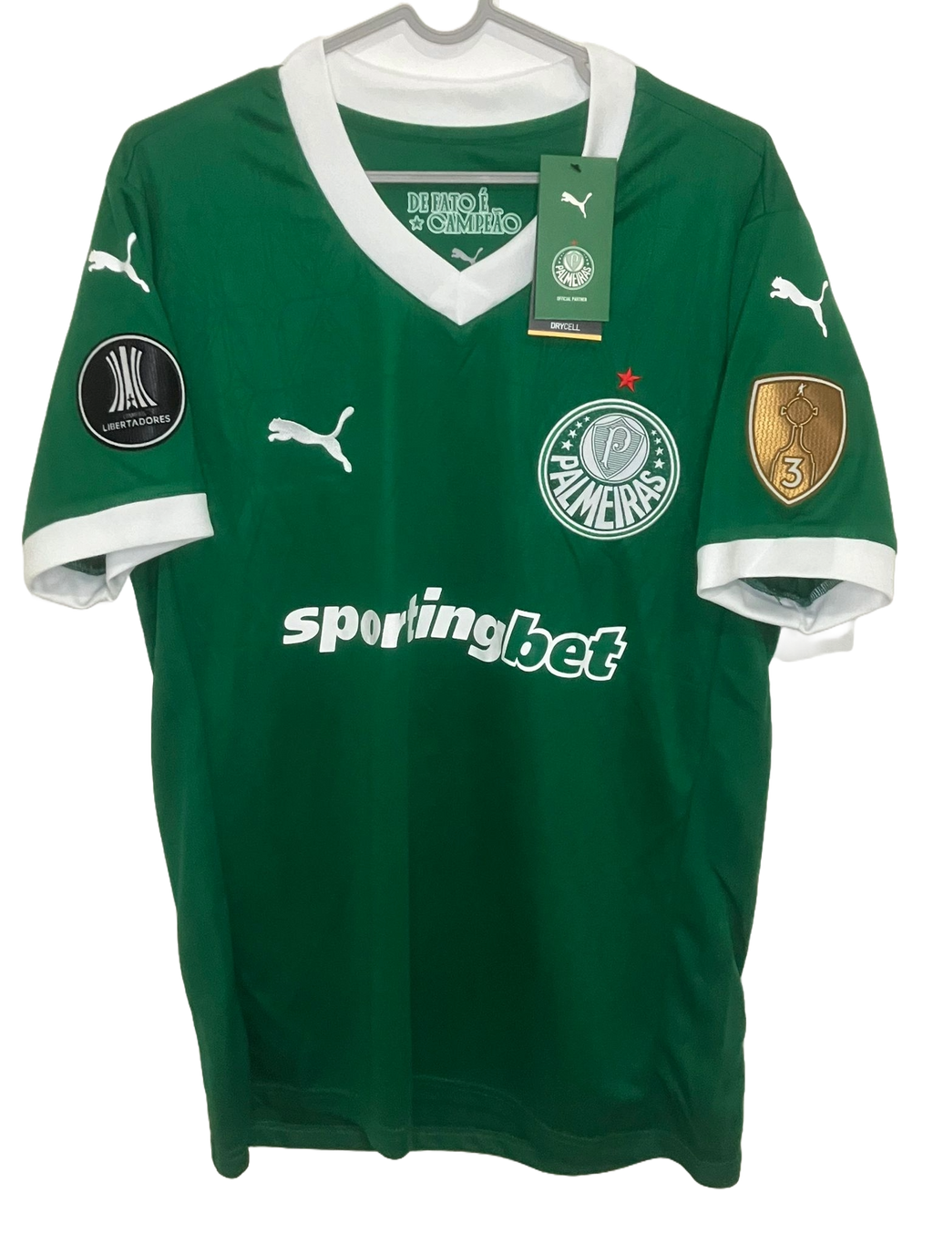 🟢 El Dominio del Verdão – Palmeiras 2025