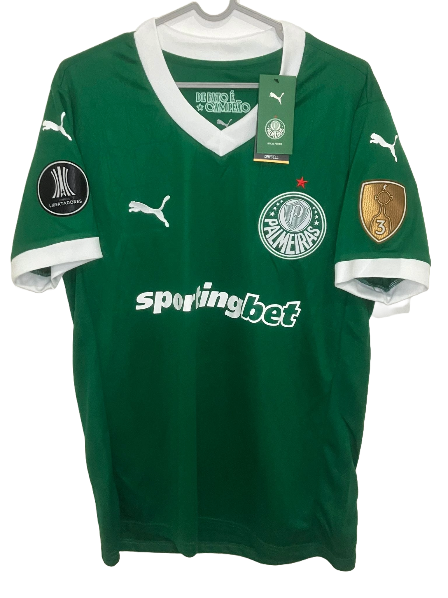 🟢 El Dominio del Verdão – Palmeiras 2025