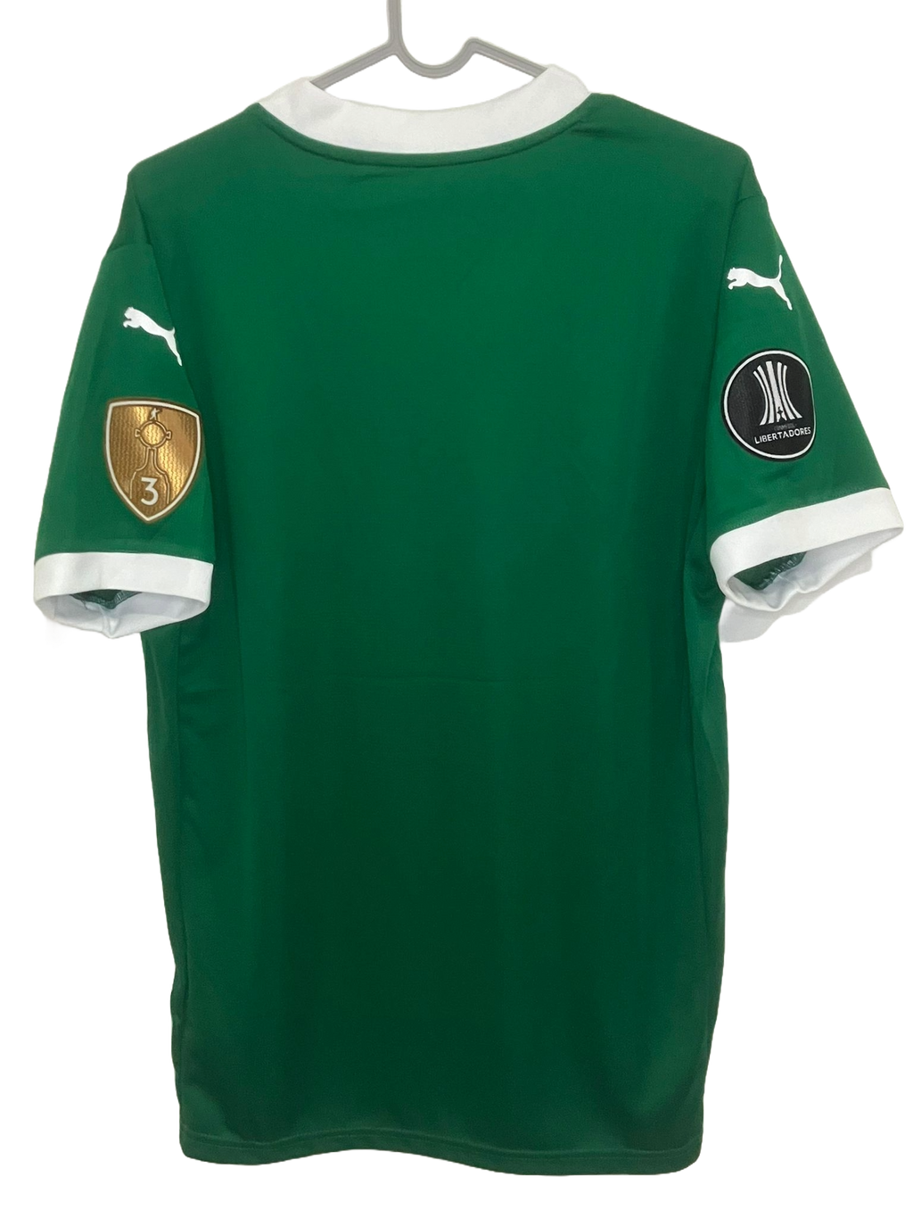 🟢 El Dominio del Verdão – Palmeiras 2025