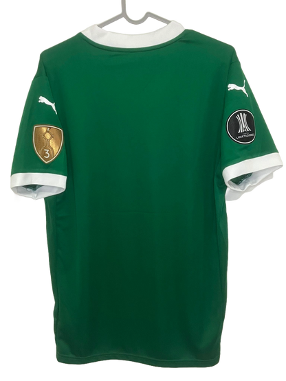 🟢 El Dominio del Verdão – Palmeiras 2025