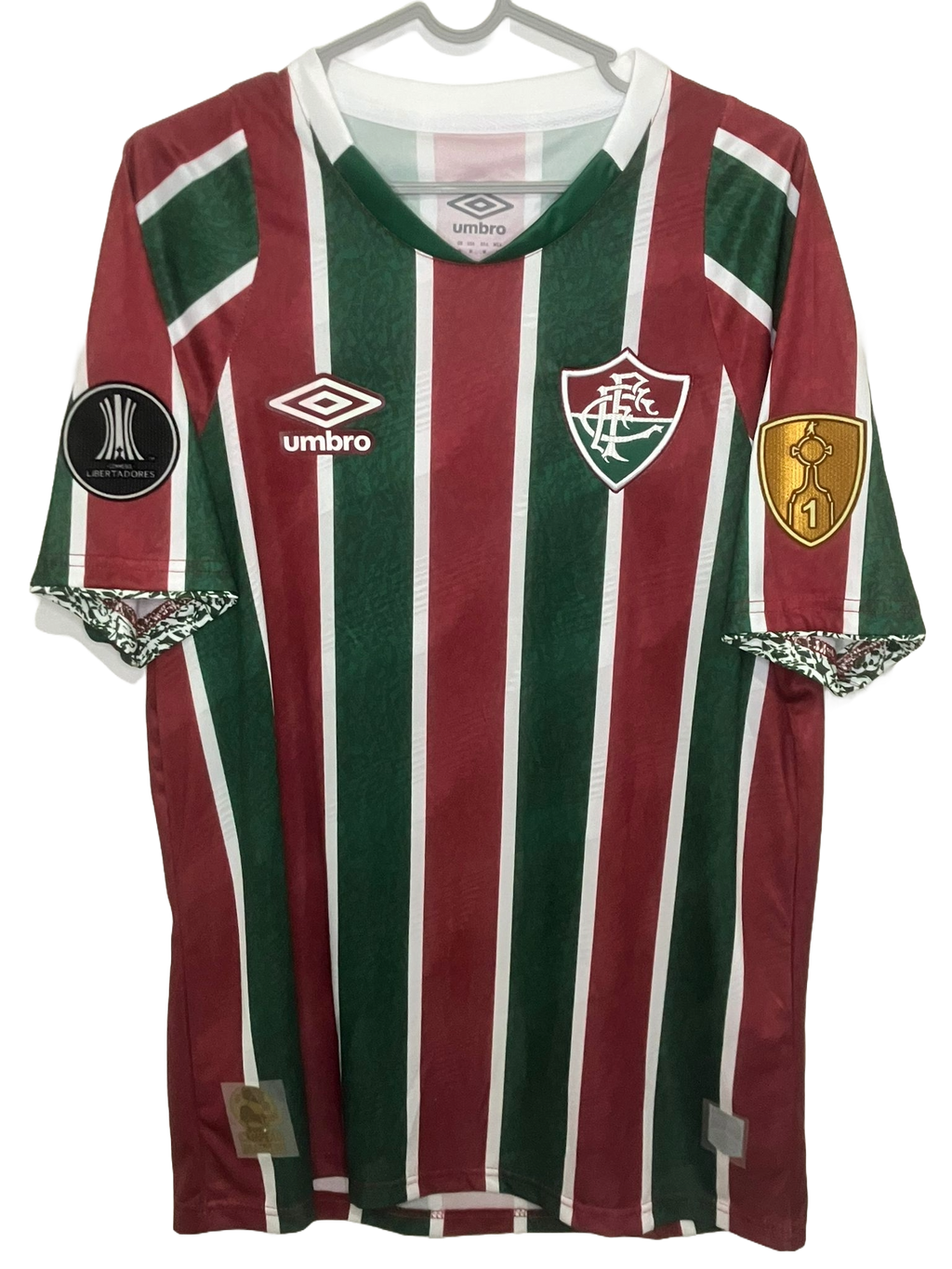 🟢🔴 La Piel del Campeón de América – Fluminense 2024