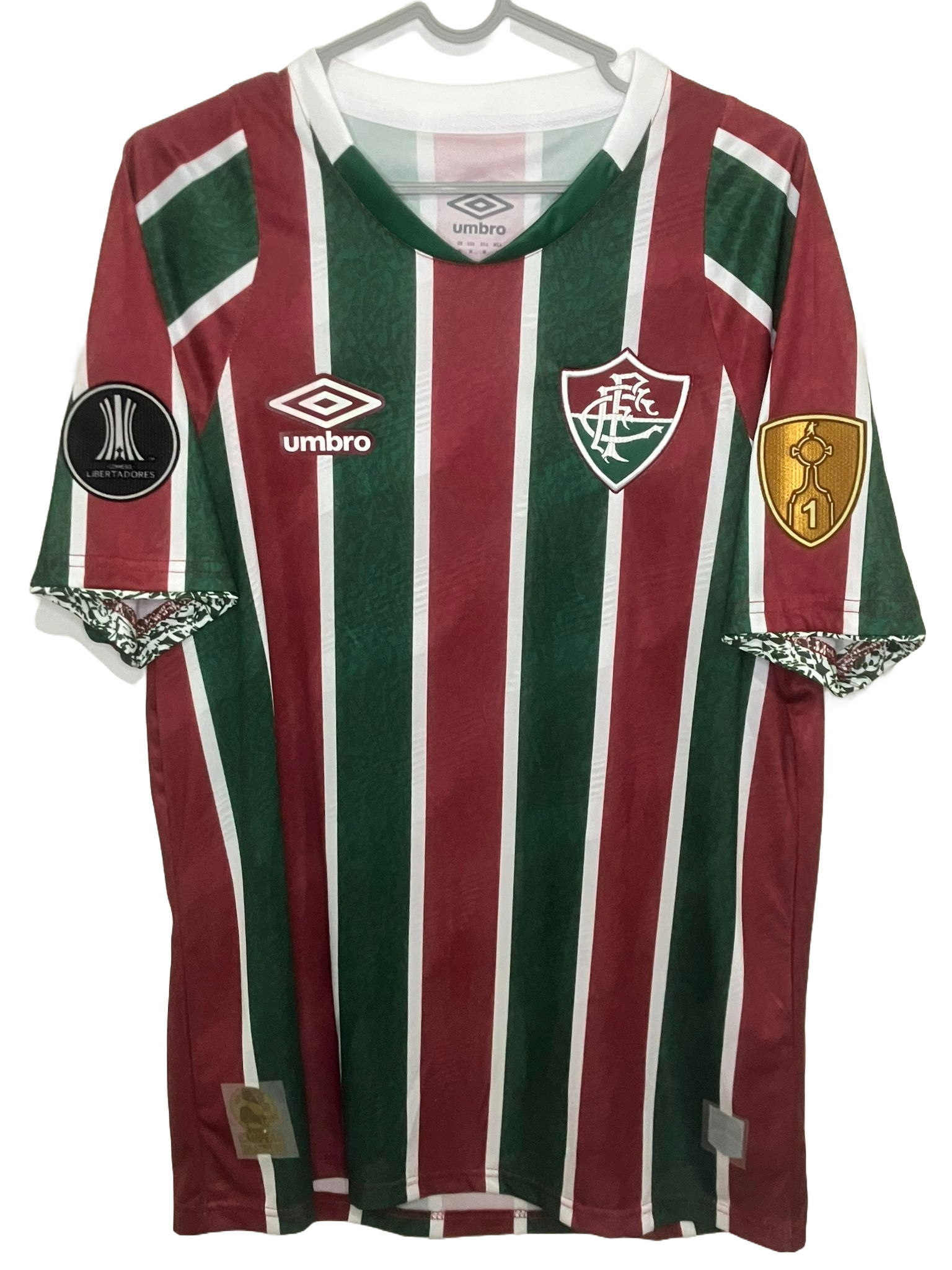 🟢🔴 La Piel del Campeón de América – Fluminense 2024