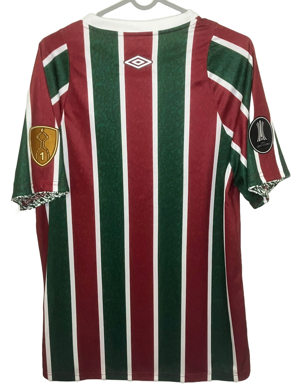🟢🔴 La Piel del Campeón de América – Fluminense 2024