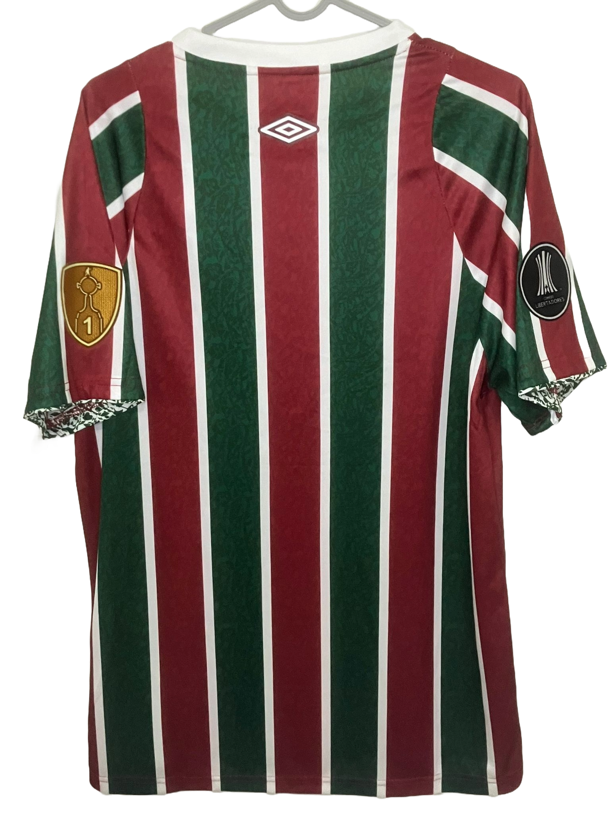 🟢🔴 La Piel del Campeón de América – Fluminense 2024