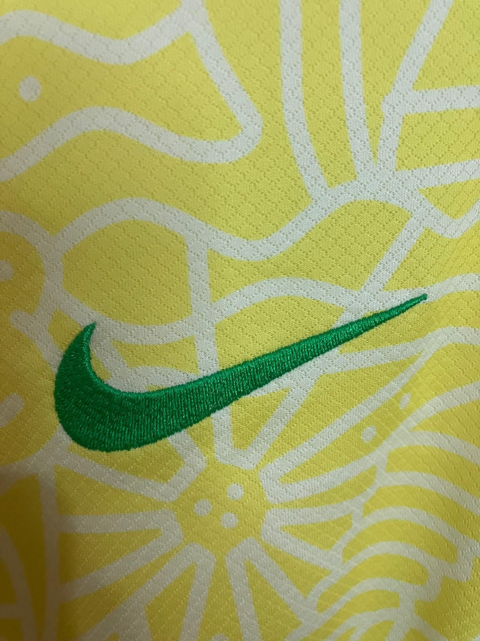 ⭐⭐⭐⭐⭐ El Heredero del Joga Bonito – Brasil 2024 - Vinicius Jr.