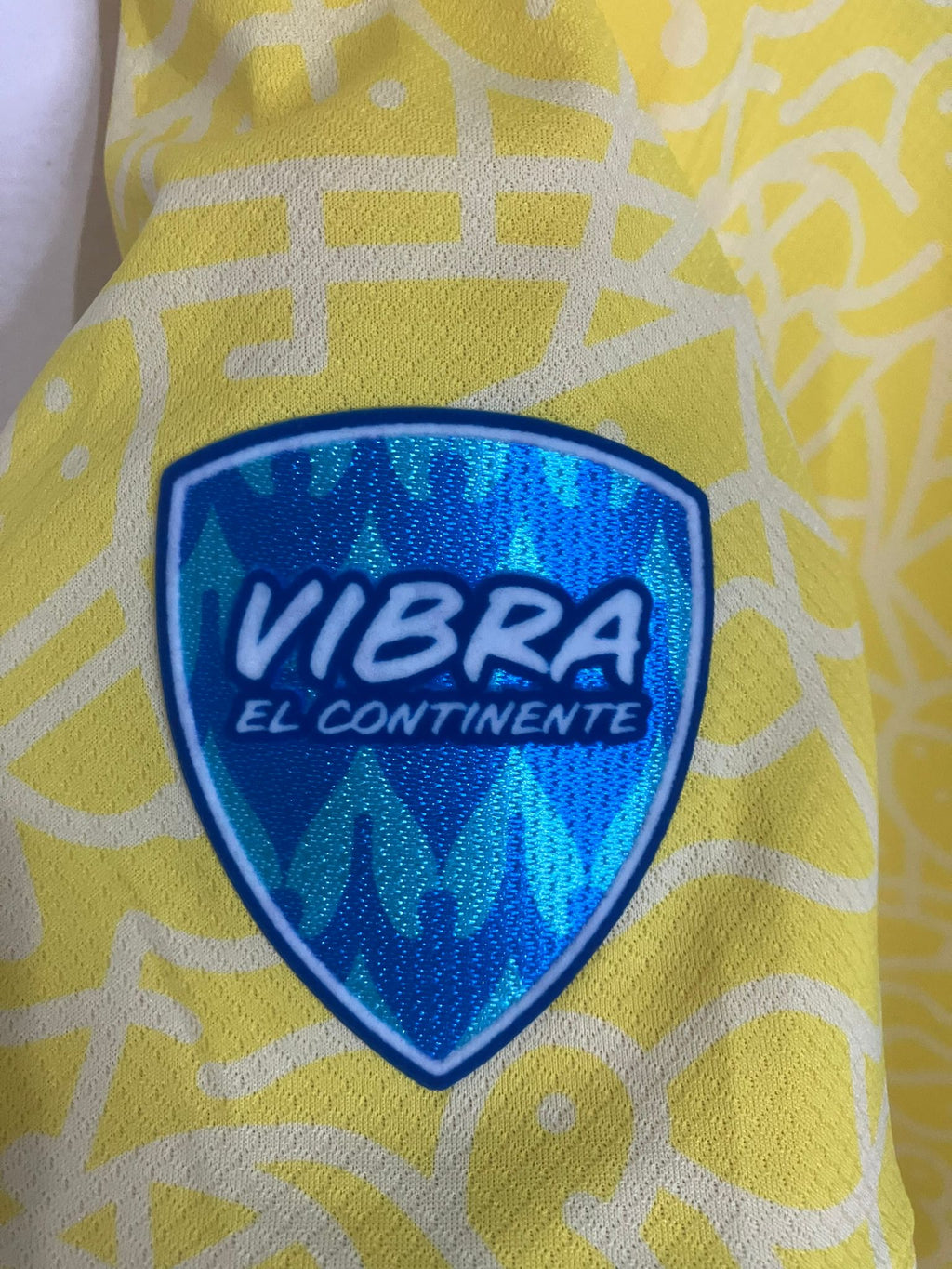 ⭐⭐⭐⭐⭐ El Heredero del Joga Bonito – Brasil 2024 - Vinicius Jr.