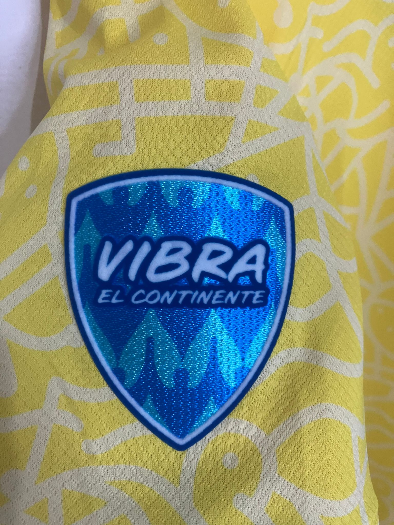 ⭐⭐⭐⭐⭐ El Heredero del Joga Bonito – Brasil 2024 - Vinicius Jr.