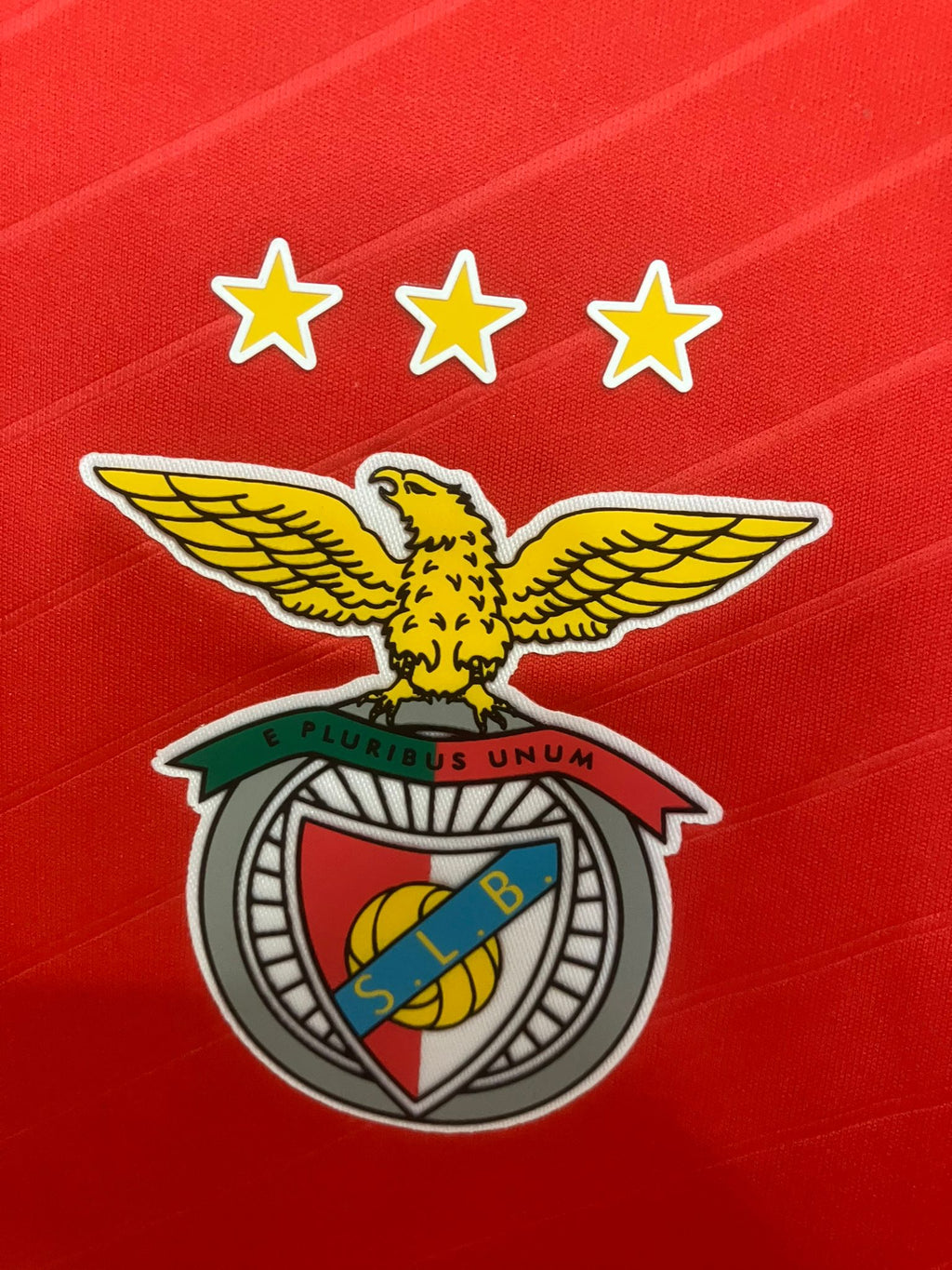 🦅 El Vuelo de la Gloria – SL Benfica 2024/25