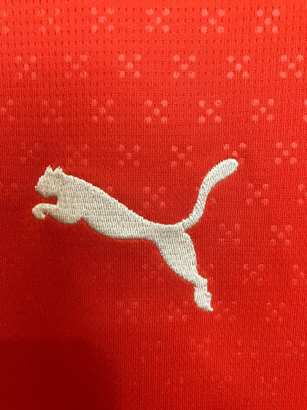 🏆 La Casaca del Eterno Campeón – Portugal 2025 - Cristiano Ronaldo