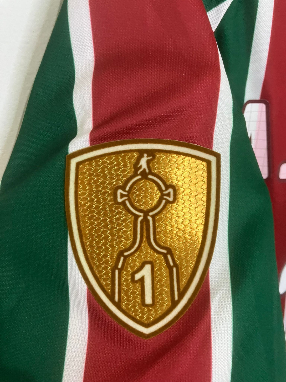 🔴🟢 El Dueño de las Bandas en Río – Fluminense 2025 - Agustín Canobbio