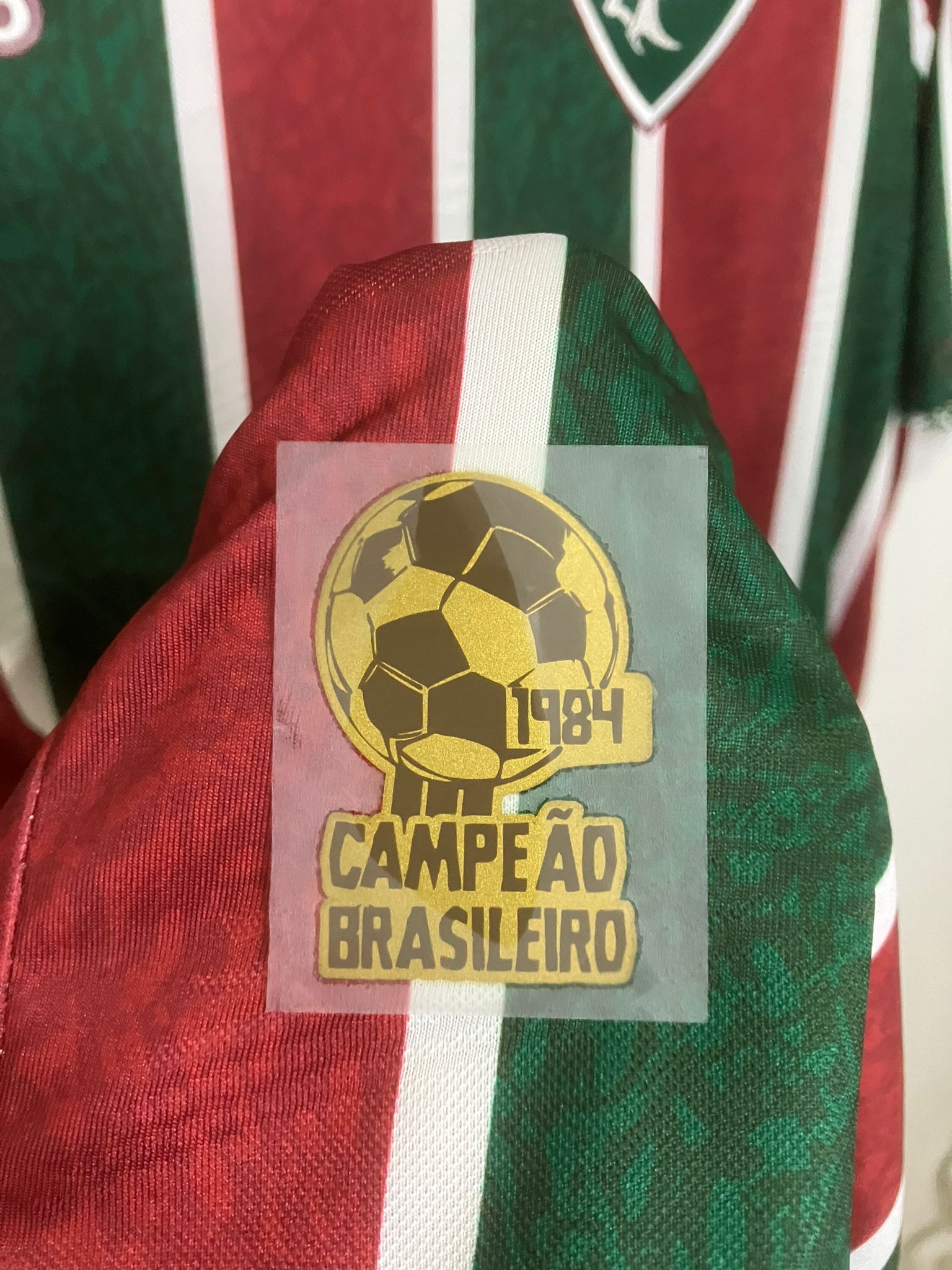 🟢🔴 La Piel del Campeón de América – Fluminense 2024