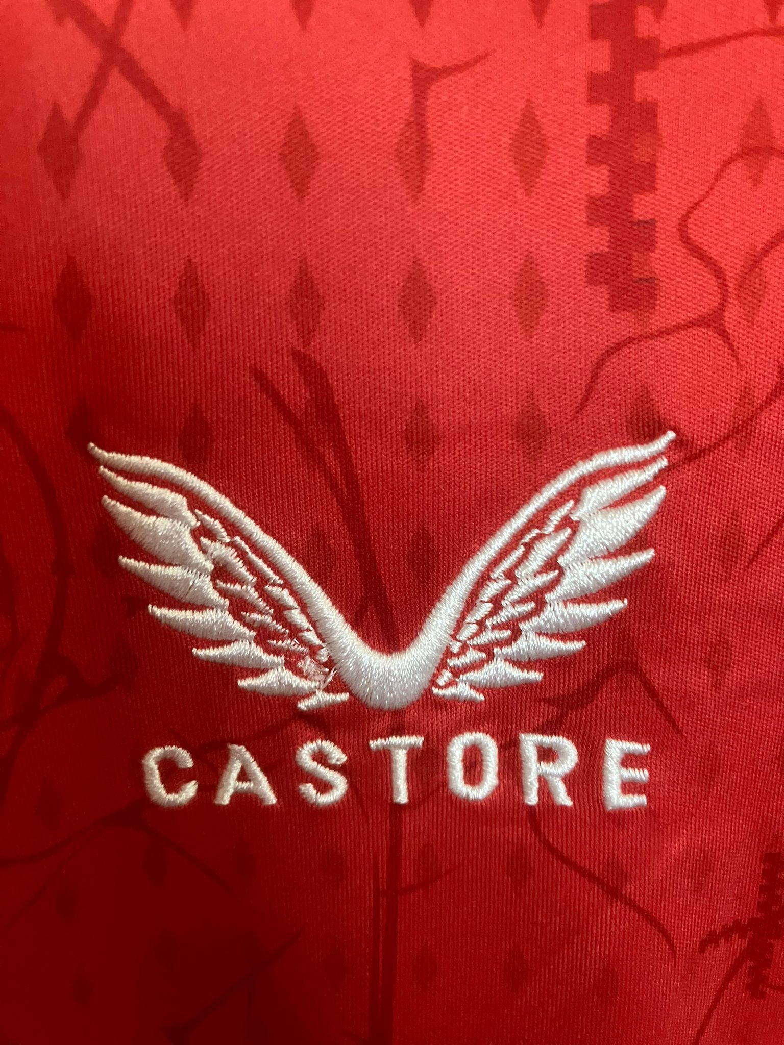 🎩 El Genio del BayArena – Bayer Leverkusen 2024/25 - Florian Wirtz