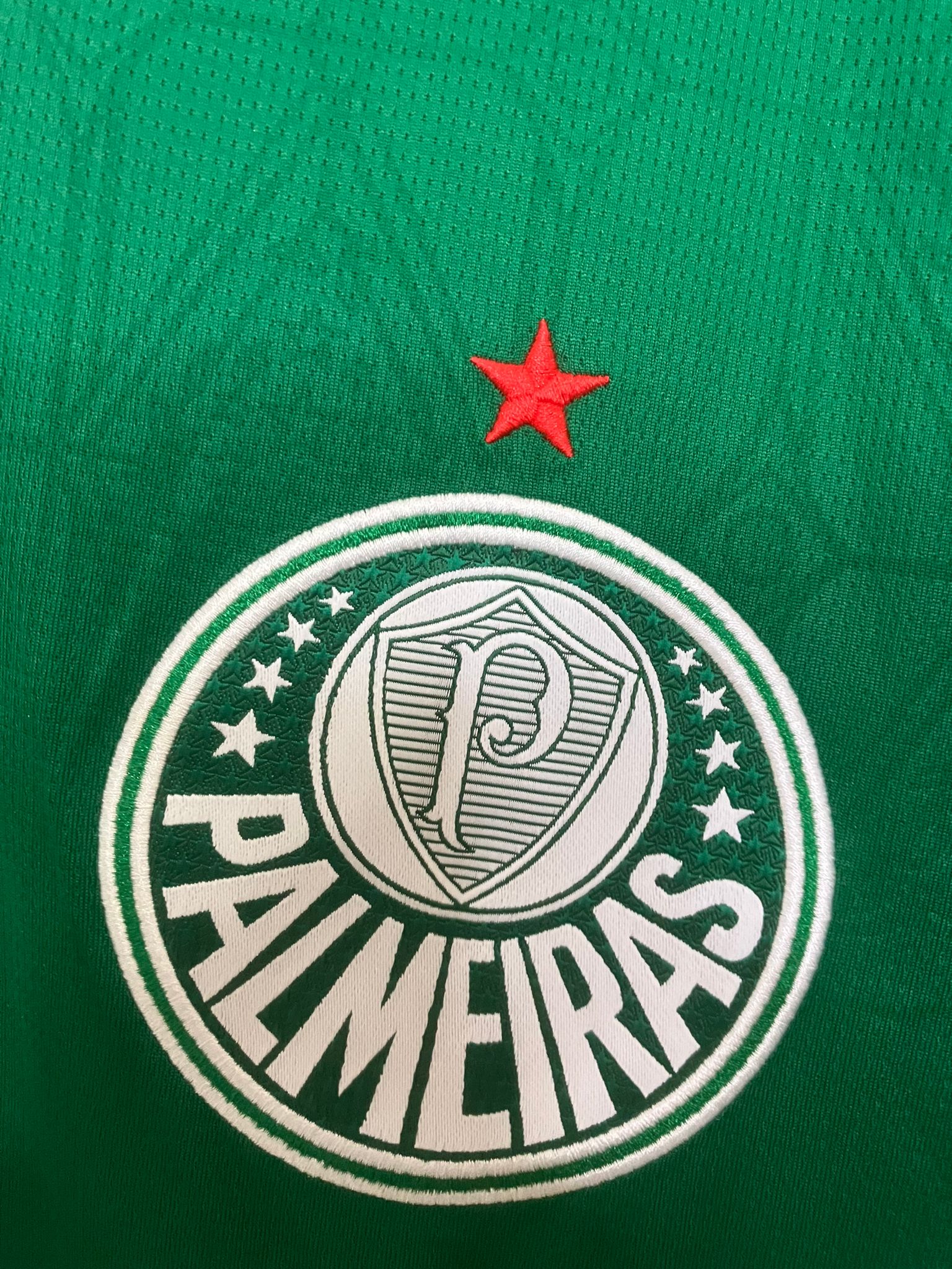 🟢 El Dominio del Verdão – Palmeiras 2025