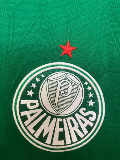 🟢 El Dominio del Verdão – Palmeiras 2025