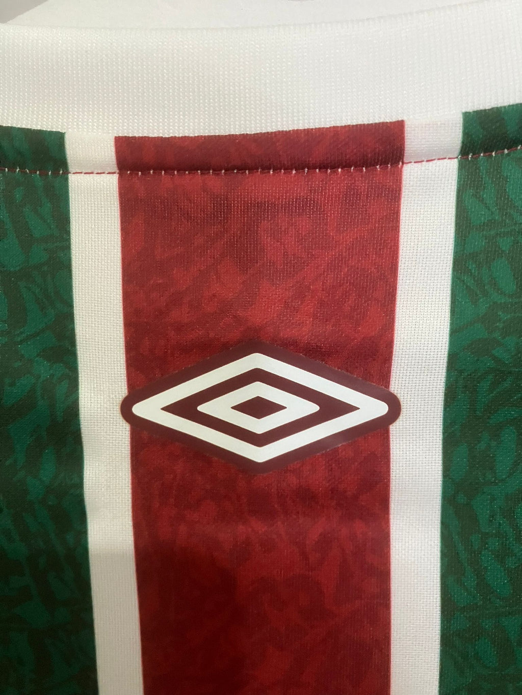 🟢🔴 La Piel del Campeón de América – Fluminense 2024