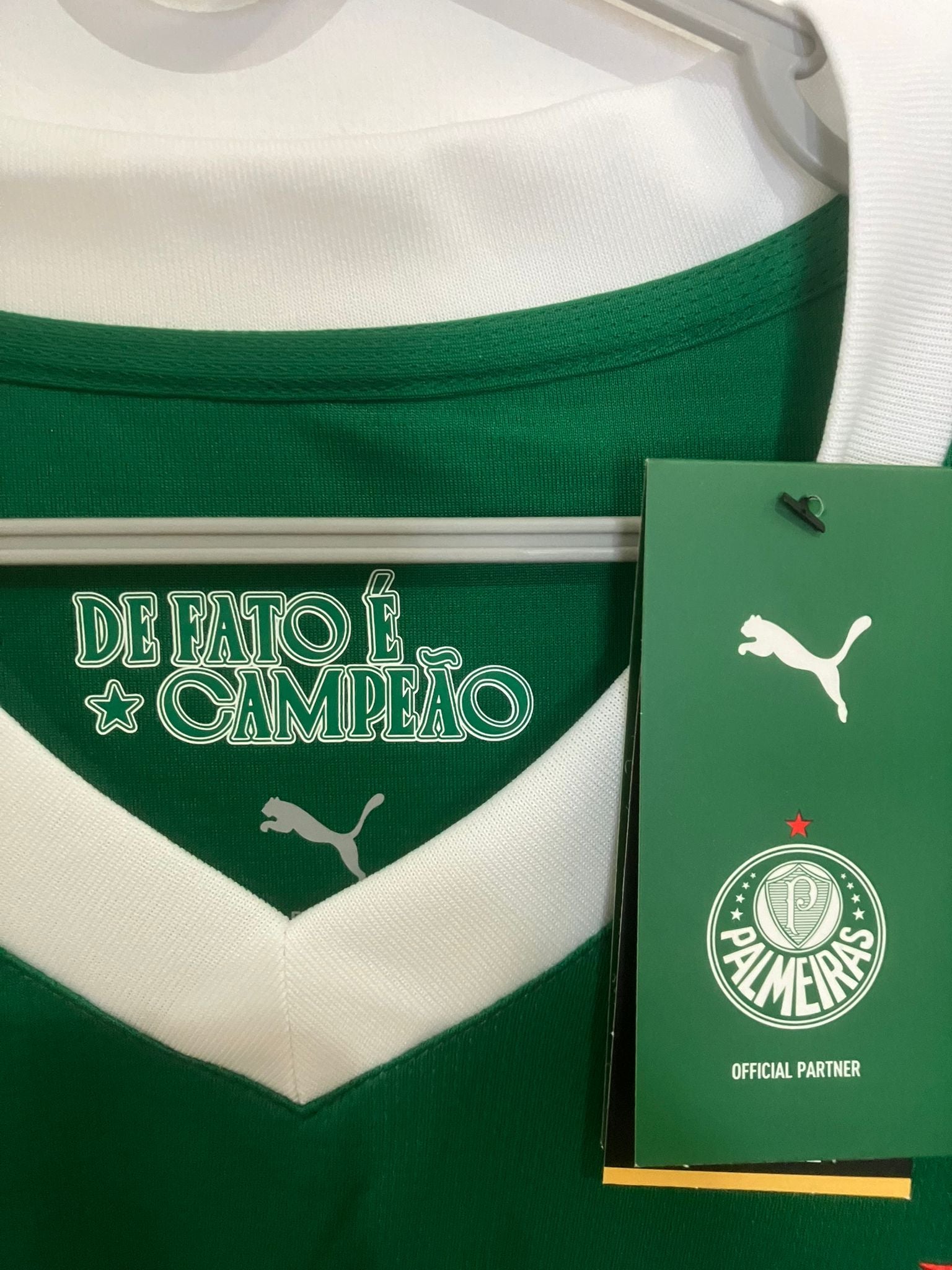🟢 El Dominio del Verdão – Palmeiras 2025